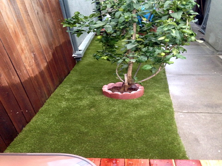 Artificial Turf Cost Logan, New Mexico Indoor Dog Park, Small Backyard Ideas