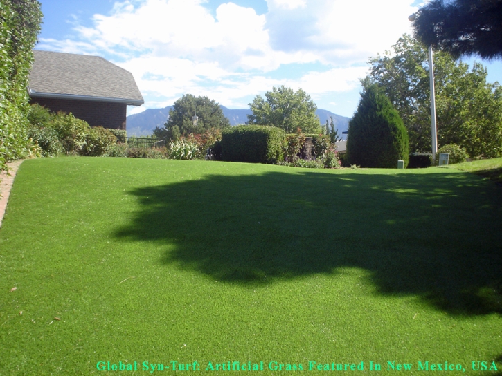 Artificial Turf Cost Rio Rancho, New Mexico Dog Grass, Backyard Landscape Ideas