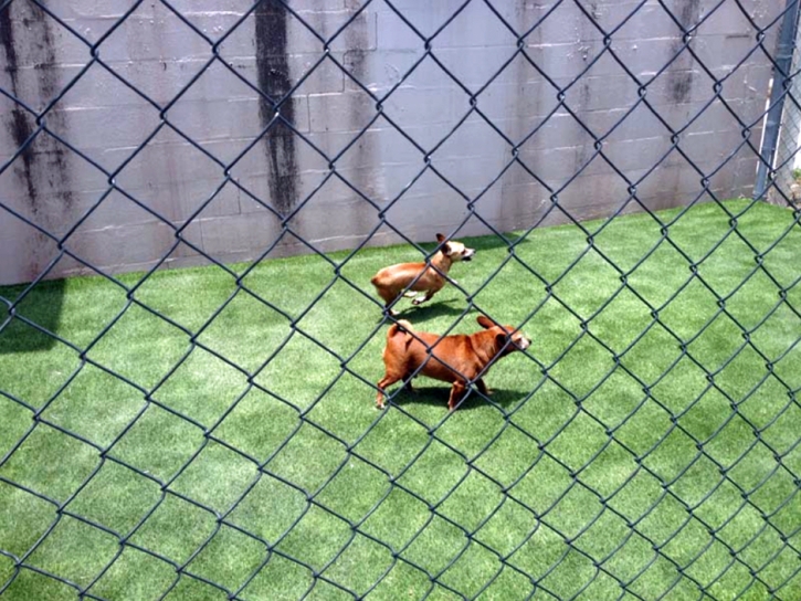 Artificial Turf Installation Bloomfield, New Mexico Dog Run