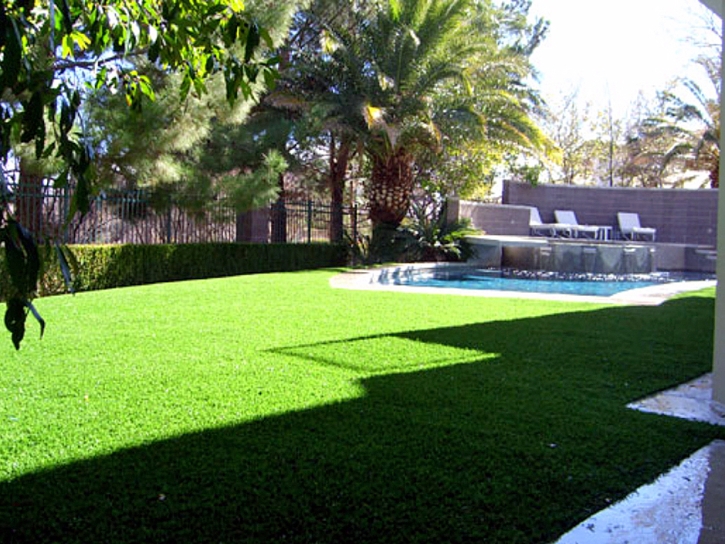 Artificial Turf Lyden, New Mexico Landscape Photos, Backyard Designs