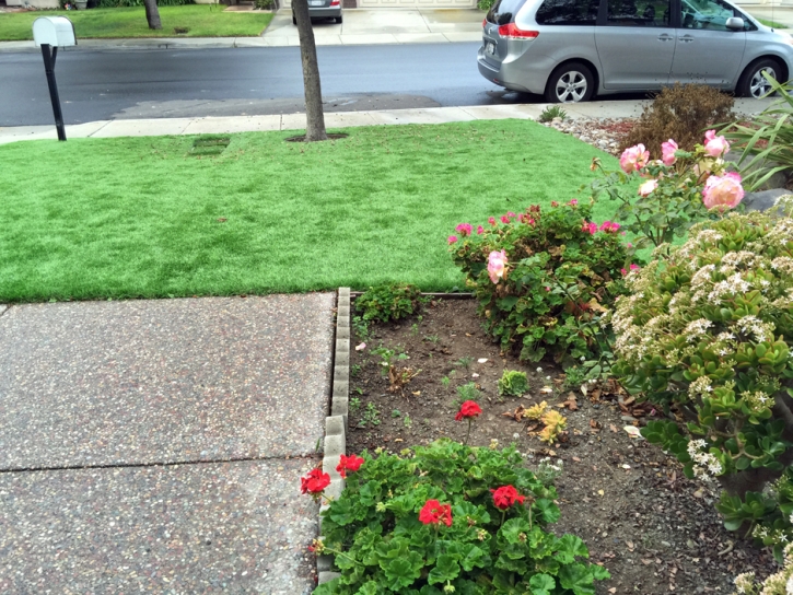 Artificial Turf Tohatchi, New Mexico Hotel For Dogs, Front Yard Landscaping Ideas