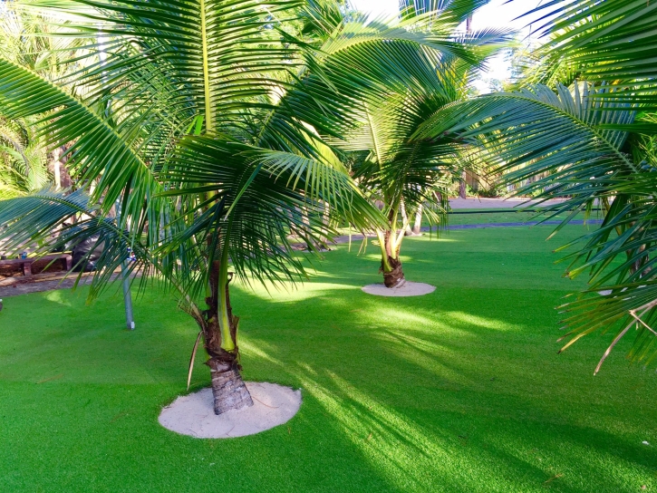 Best Artificial Grass Albuquerque, New Mexico Lawn And Garden, Commercial Landscape