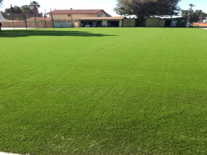 Best Artificial Grass Anton Chico, New Mexico Lawns, Recreational Areas