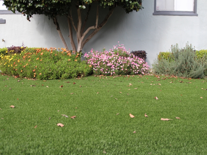 Best Artificial Grass Artesia, New Mexico Rooftop, Front Yard Landscaping