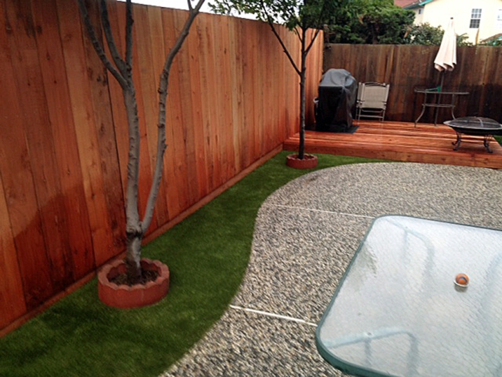 Best Artificial Grass Gila, New Mexico Fake Grass For Dogs, Backyard Landscaping Ideas