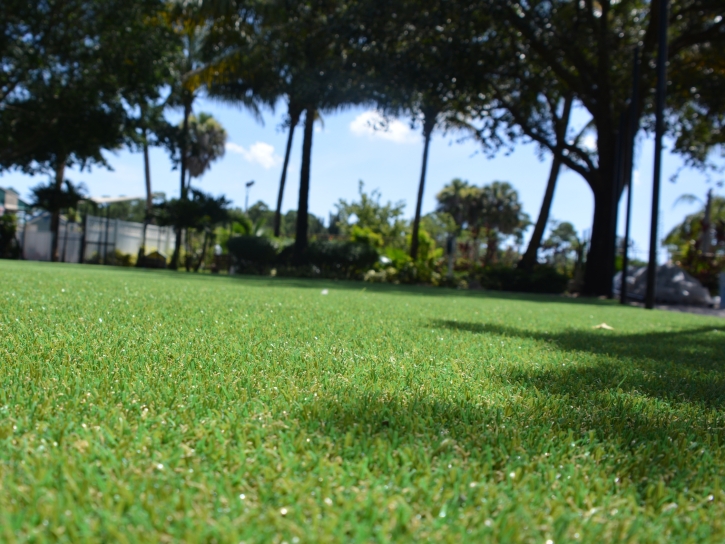 Fake Grass Animas, New Mexico Home And Garden, Recreational Areas