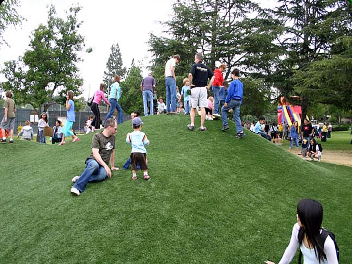 Fake Grass Carpet Chamberino, New Mexico Landscape Ideas, Parks