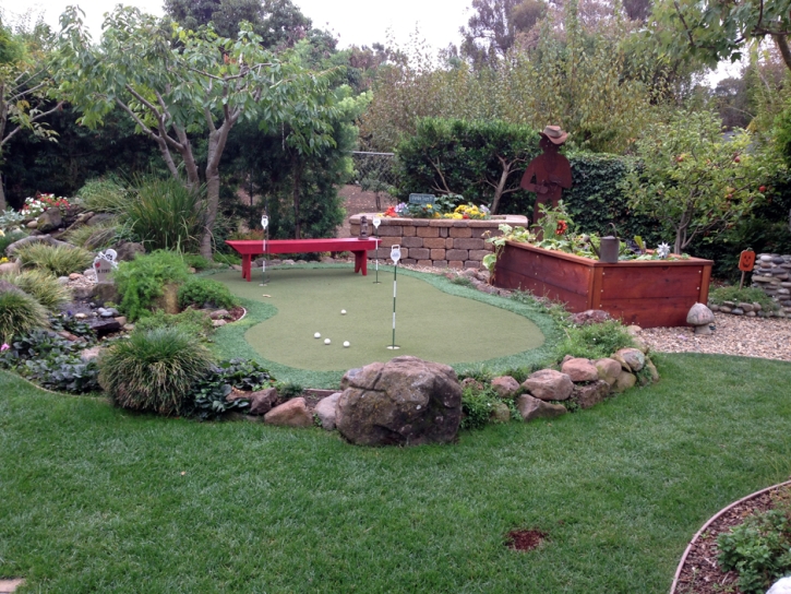 Fake Grass Carpet Cuyamungue, New Mexico Design Ideas, Small Backyard Ideas