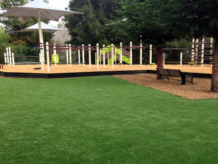 Fake Grass Carpet Mesilla, New Mexico Athletic Playground, Beautiful Backyards