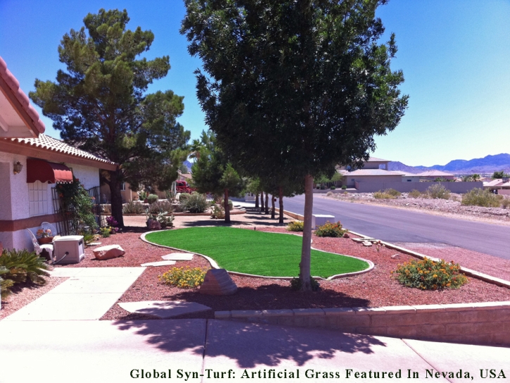 Fake Grass Carpet North Valley, New Mexico Gardeners, Front Yard Landscape Ideas