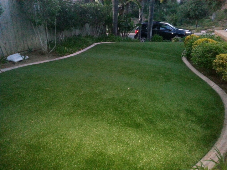 Fake Grass Carpet San Antonito, New Mexico Landscaping, Front Yard Landscaping