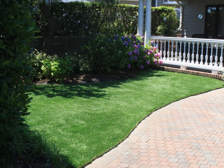 Fake Grass Carpet Seama, New Mexico Design Ideas, Landscaping Ideas For Front Yard