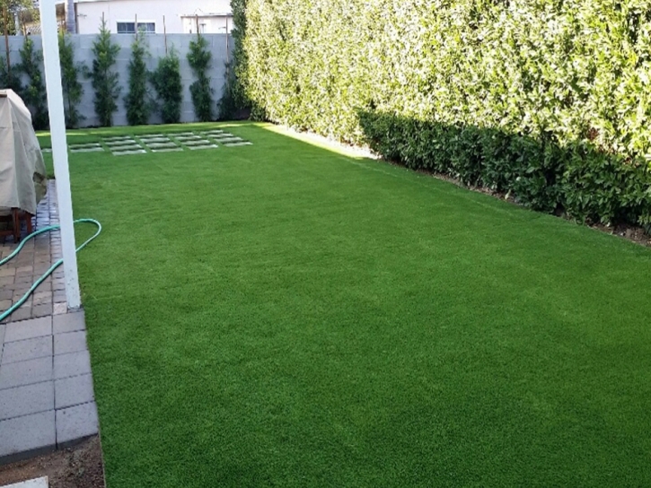 Fake Grass Los Ranchos de Albuquerque, New Mexico Hotel For Dogs, Backyard