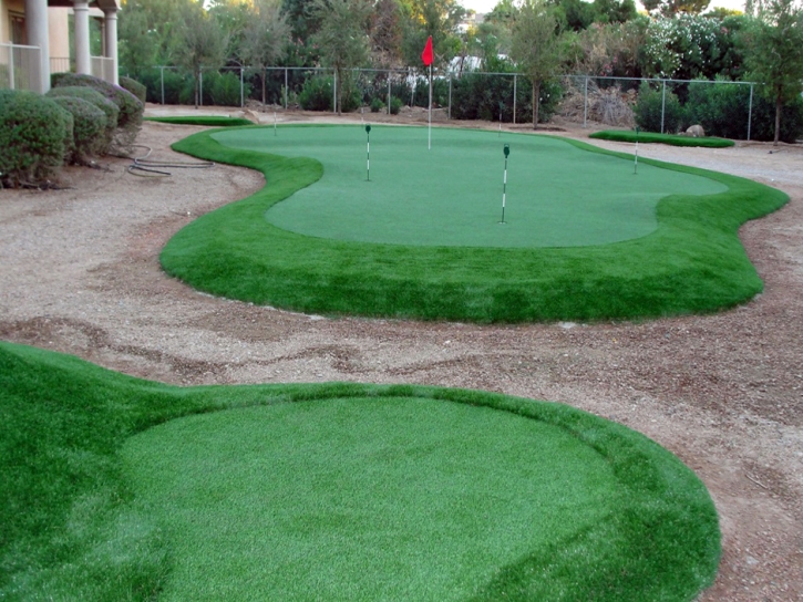 Fake Grass Tome, New Mexico Putting Green, Backyard Landscape Ideas