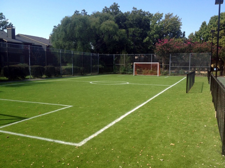 Fake Turf Chamizal, New Mexico Sports Turf, Commercial Landscape