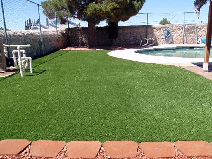 Fake Turf Gallup, New Mexico Hotel For Dogs, Pool Designs