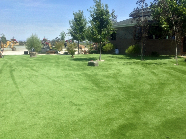 Fake Turf San Jose, New Mexico Artificial Turf For Dogs, Parks