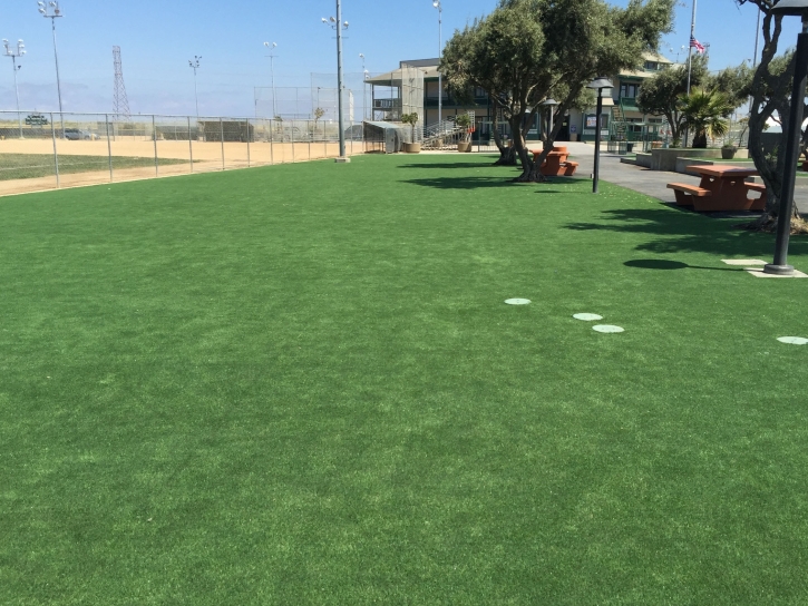 Fake Turf Santa Ana Pueblo, New Mexico Backyard Deck Ideas, Recreational Areas