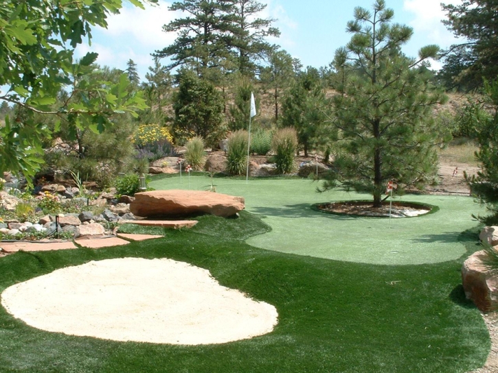 Faux Grass Causey, New Mexico City Landscape, Small Backyard Ideas