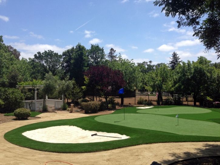 Faux Grass North San Ysidro, New Mexico Backyard Putting Green, Front Yard Design