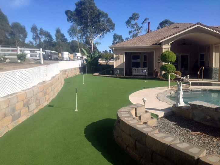 Faux Grass Truchas, New Mexico City Landscape, Small Backyard Ideas