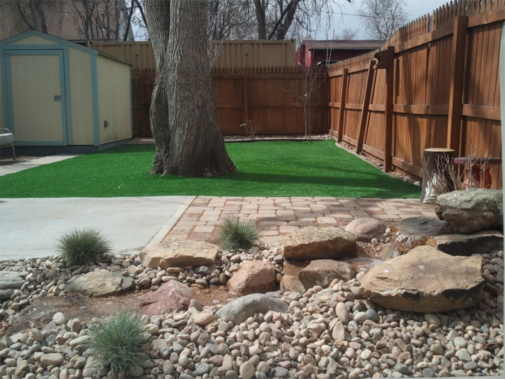 Faux Grass Virden, New Mexico Design Ideas, Backyard