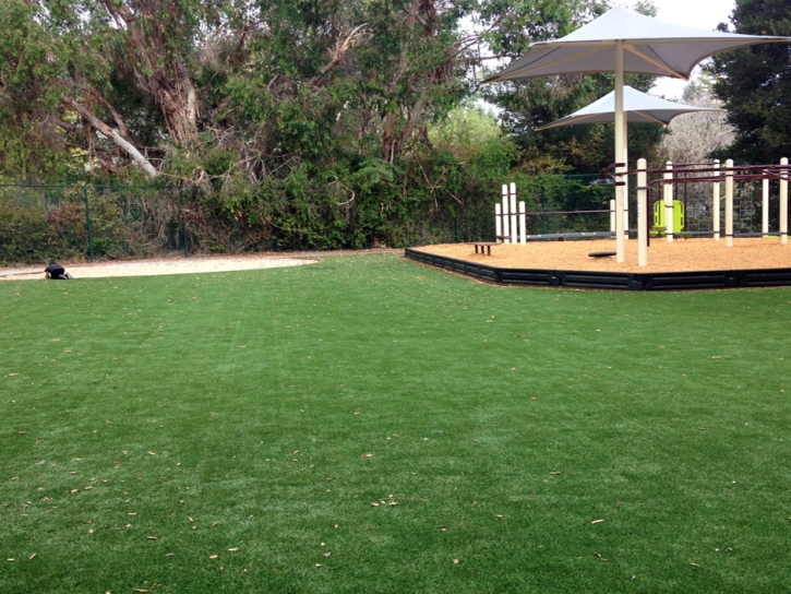 Grass Carpet Floyd, New Mexico Kids Indoor Playground