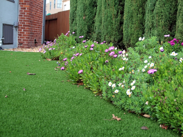 Grass Carpet Waterflow, New Mexico Design Ideas, Front Yard Landscaping Ideas