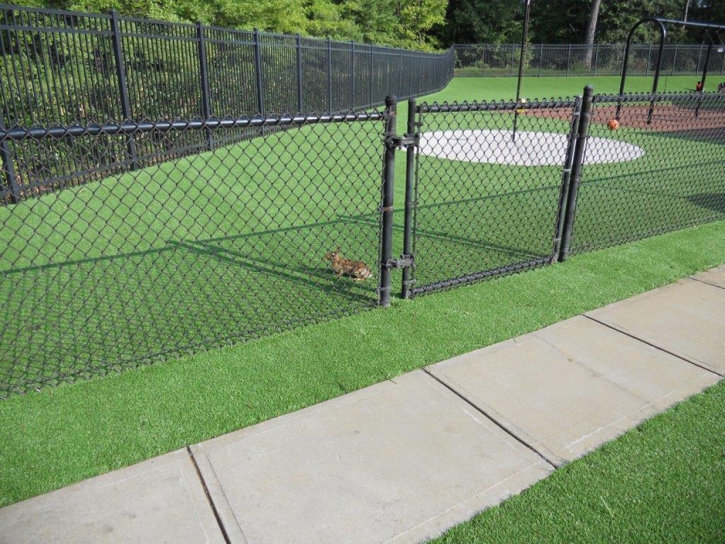 Grass Carpet Watrous, New Mexico Paver Patio, Recreational Areas