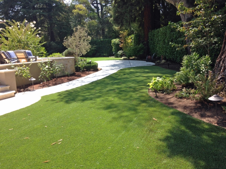 Grass Turf Anton Chico, New Mexico Lawn And Garden, Backyard Garden Ideas