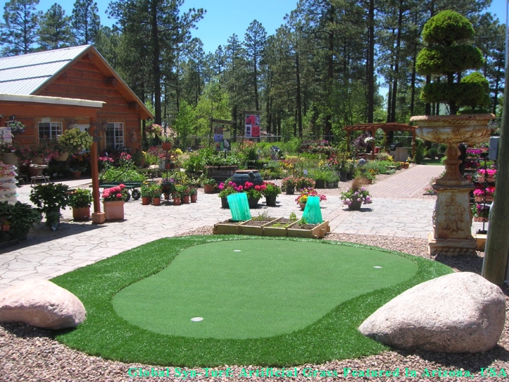 Grass Turf Lee Acres, New Mexico Landscaping, Backyard Designs