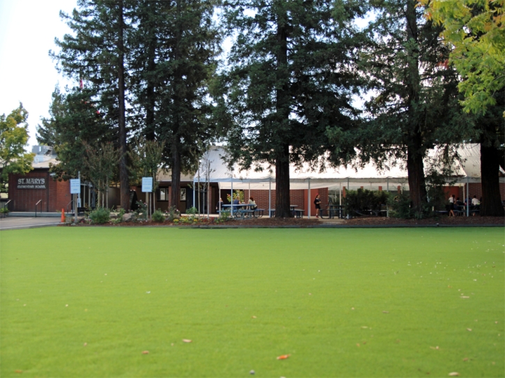 Grass Turf Quemado, New Mexico Landscaping, Recreational Areas