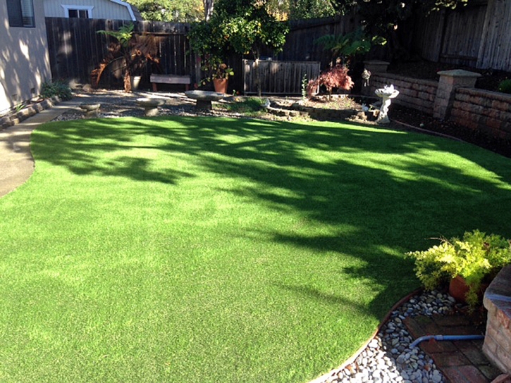 Grass Turf Tyrone, New Mexico Paver Patio, Backyards