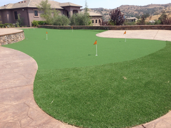 Green Lawn Folsom, New Mexico Indoor Putting Green