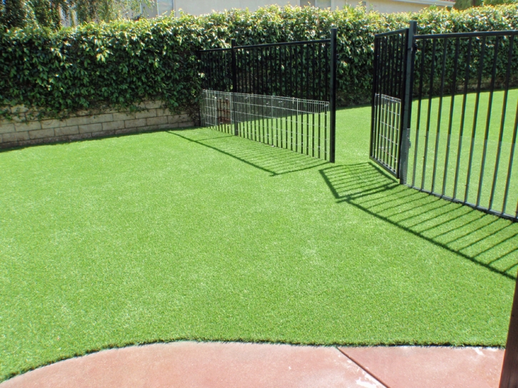 Green Lawn Mimbres, New Mexico Watch Dogs, Front Yard Landscape Ideas