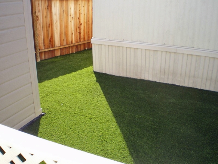 Green Lawn Ruidoso, New Mexico Cat Grass, Backyard Design