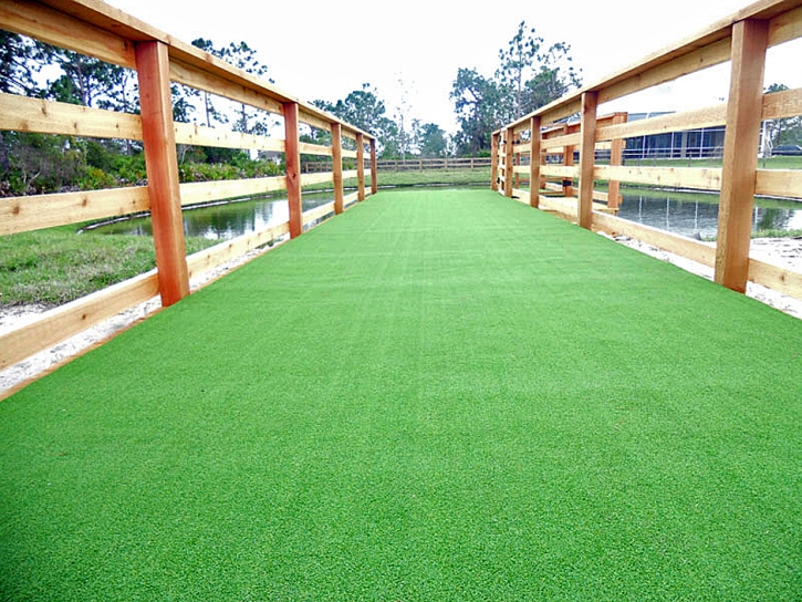 Installing Artificial Grass Abeytas, New Mexico Dog Hospital, Commercial Landscape