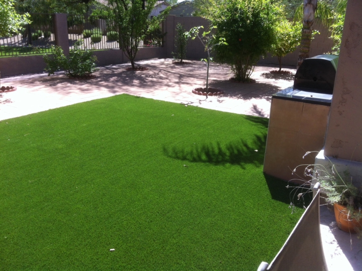 Installing Artificial Grass Sunland Park, New Mexico Dog Pound, Backyard