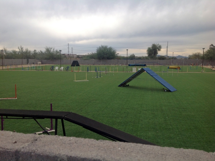 Lawn Services Capulin, New Mexico High School Sports, Parks