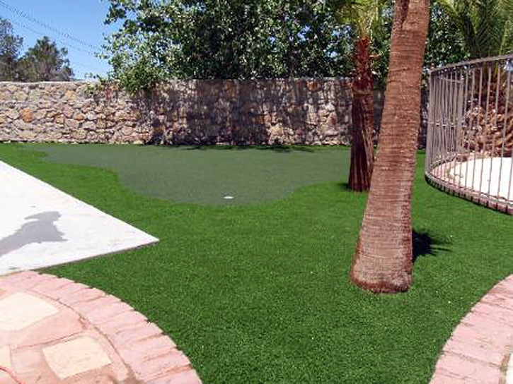 Lawn Services Zuni Pueblo, New Mexico Diy Putting Green, Backyards