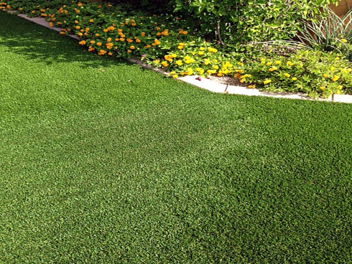 Outdoor Carpet La Jara, New Mexico Garden Ideas, Front Yard Ideas