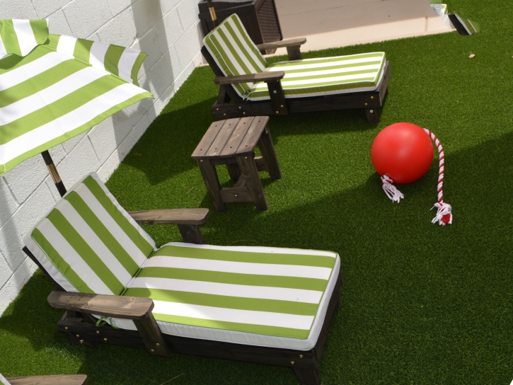 Outdoor Carpet Monterey Park, New Mexico Garden Ideas, Backyard Ideas