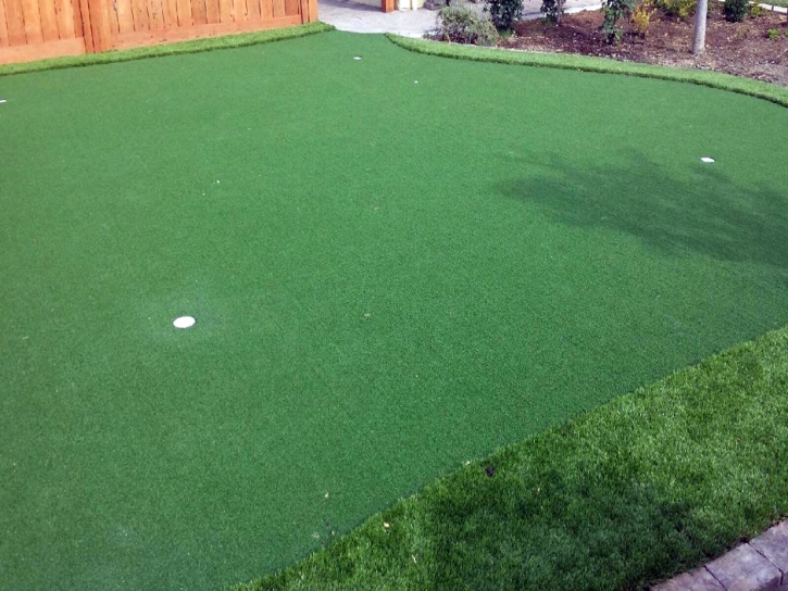 Outdoor Carpet Pojoaque, New Mexico Best Indoor Putting Green