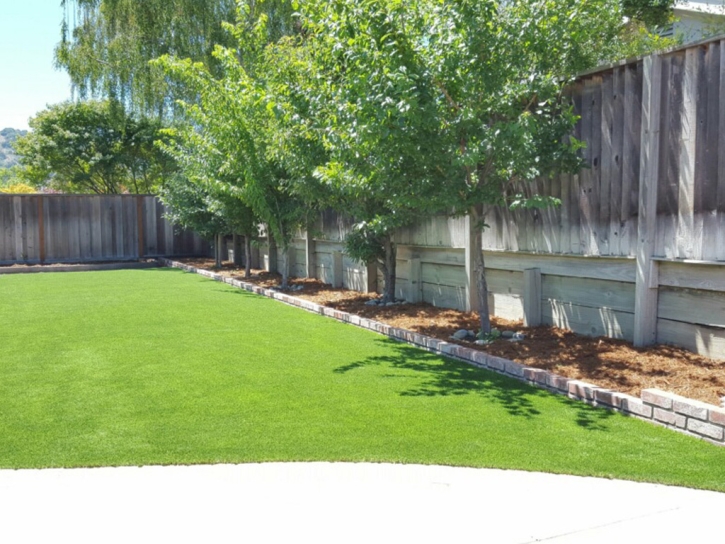 Plastic Grass Los Chaves, New Mexico Backyard Playground, Backyard Landscaping Ideas