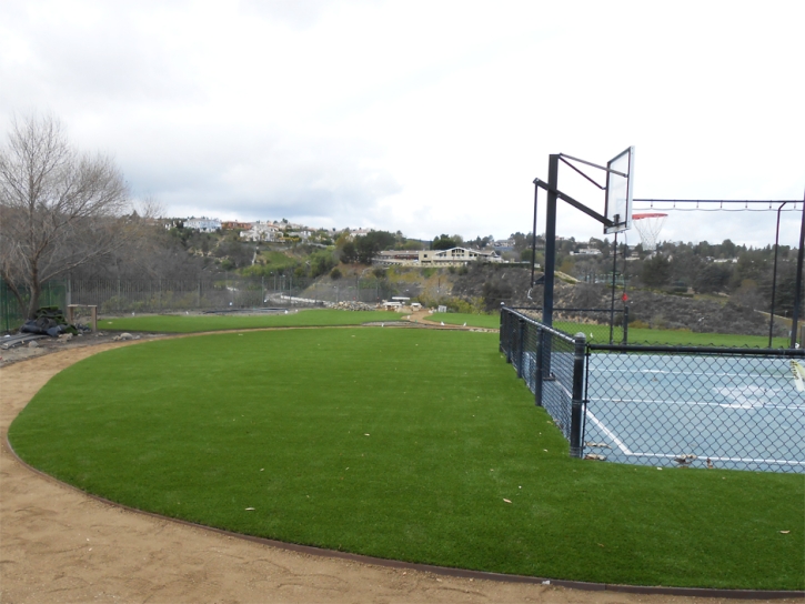 Synthetic Grass Cost Meadow Lake, New Mexico Indoor Playground, Commercial Landscape