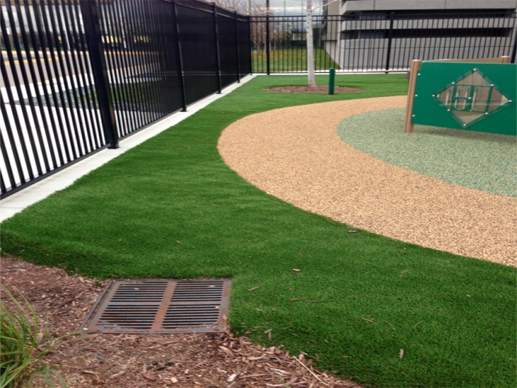 Synthetic Grass Cost Ribera, New Mexico Home And Garden, Commercial Landscape