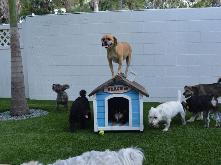 Synthetic Grass Cost Sandia Park, New Mexico Dog Park, Dogs Runs