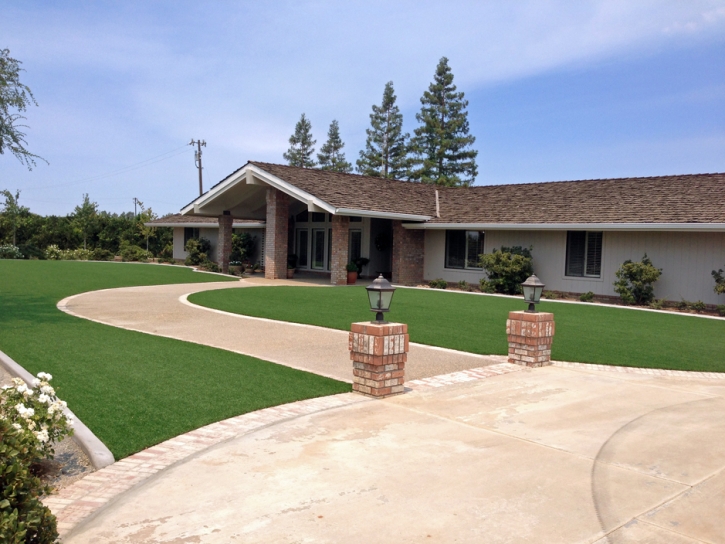 Synthetic Grass Grenville, New Mexico City Landscape, Front Yard Landscaping Ideas