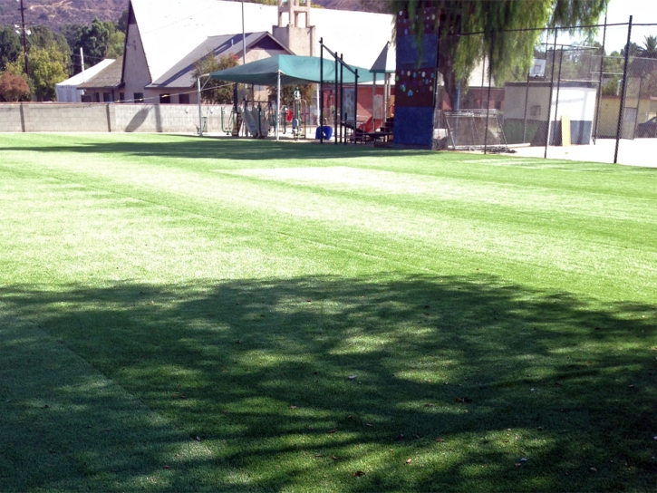 Synthetic Grass Soham, New Mexico Landscape Design, Parks