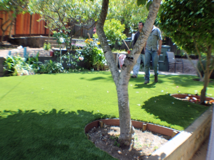 Synthetic Grass Vado, New Mexico Lawns, Backyard Ideas